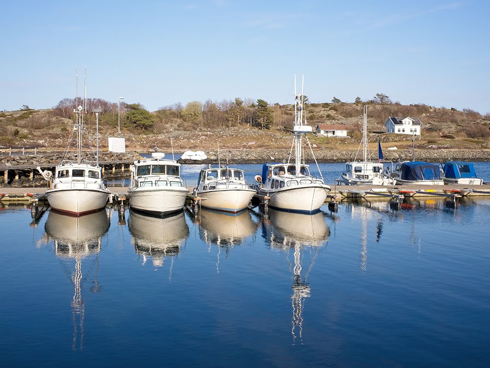 Image of a small private marina for sale in Canada